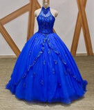 Modest Quinceanera Dresses Ball Gown High Neck Royal Blue Tulle Quince Gowns Vestidos De 15 Anos Formal Party Long Sweet 16 Dress HZ0311